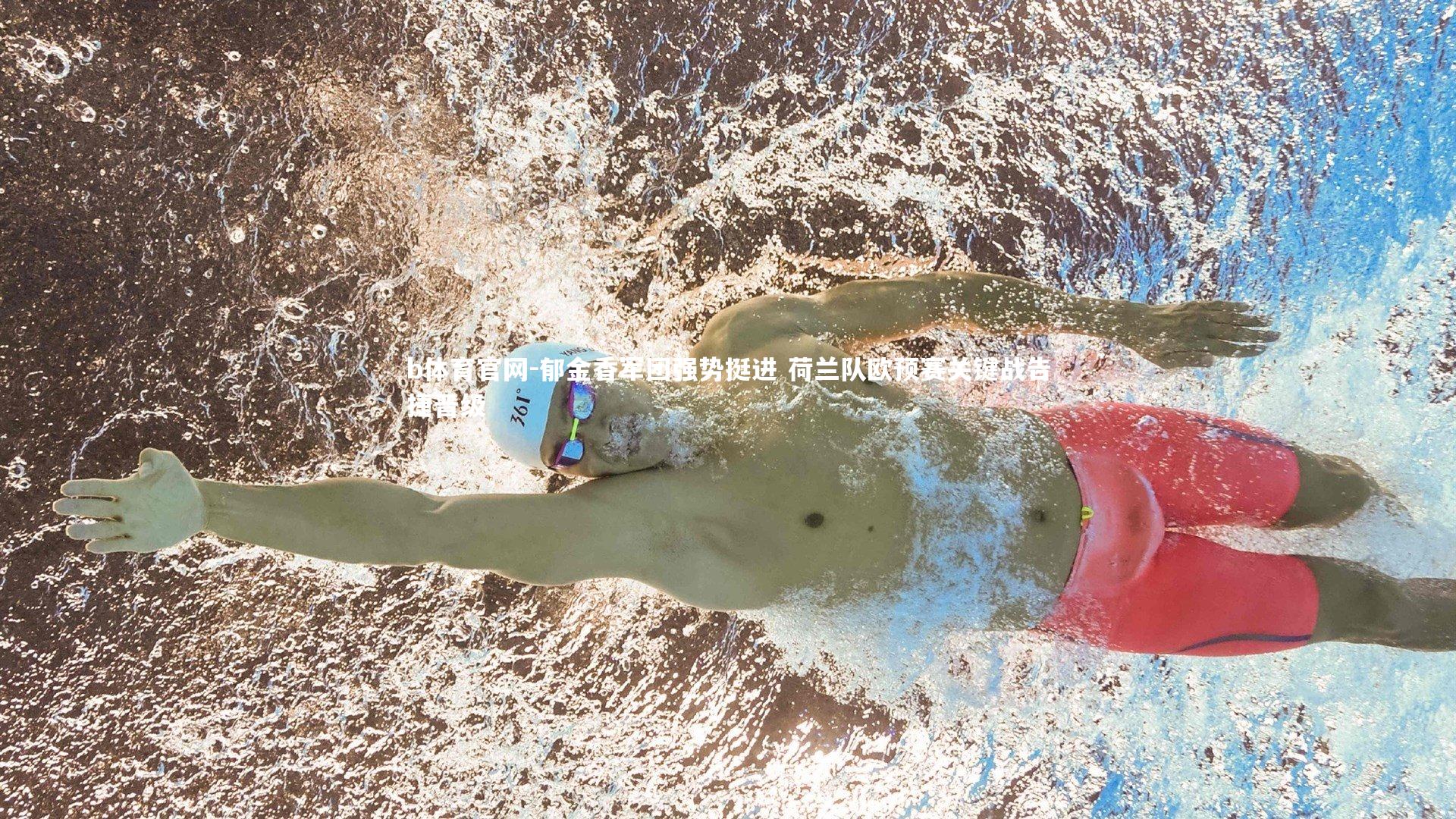 郁金香军团强势挺进 荷兰队欧预赛关键战告捷晋级