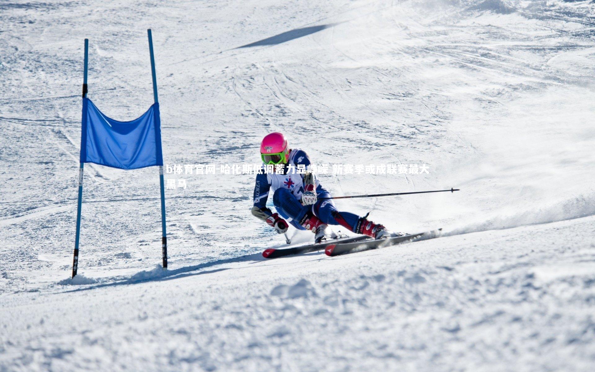 哈化斯低调蓄力显峥嵘 新赛季或成联赛最大黑马